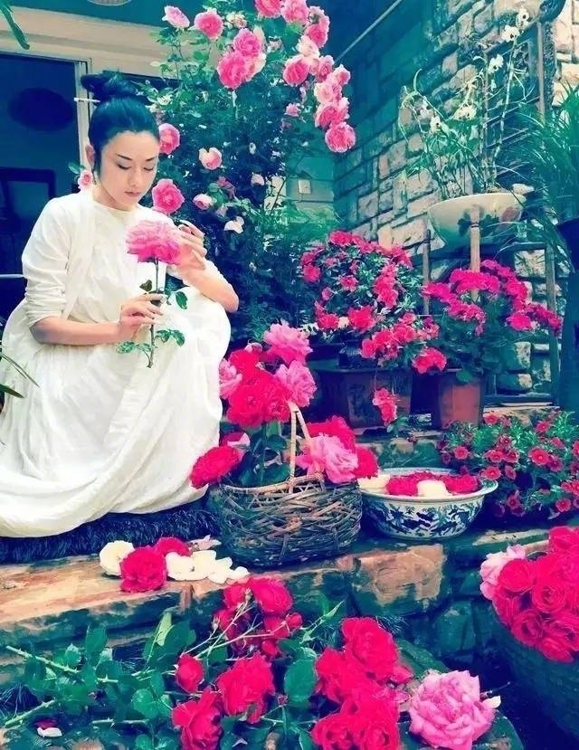 孔雀舞灵魂人物杨丽萍在苍山洱海活成仙女的模 5