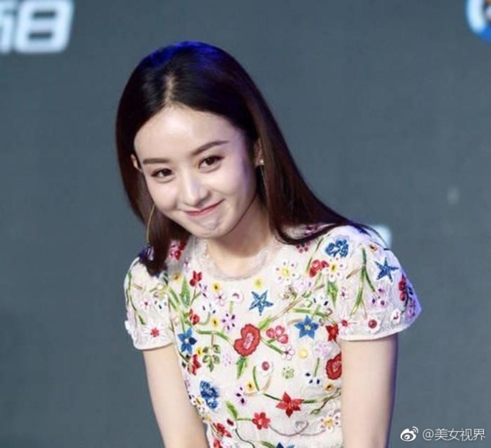 长发时河北美女明星赵丽颖碎花图片 5