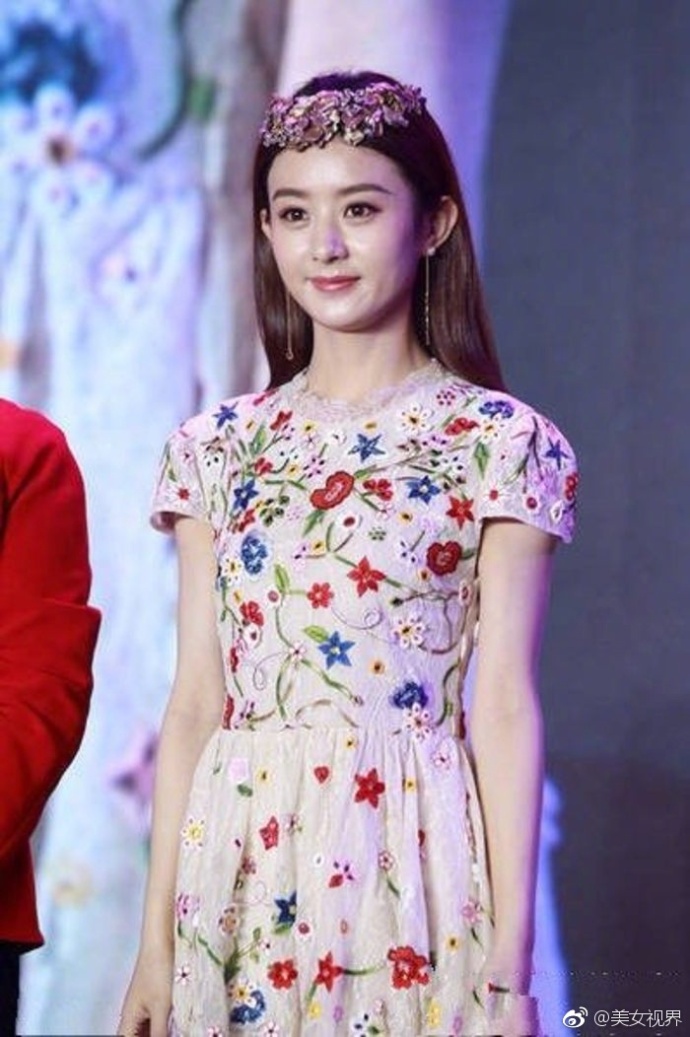 长发时河北美女明星赵丽颖碎花图片 8