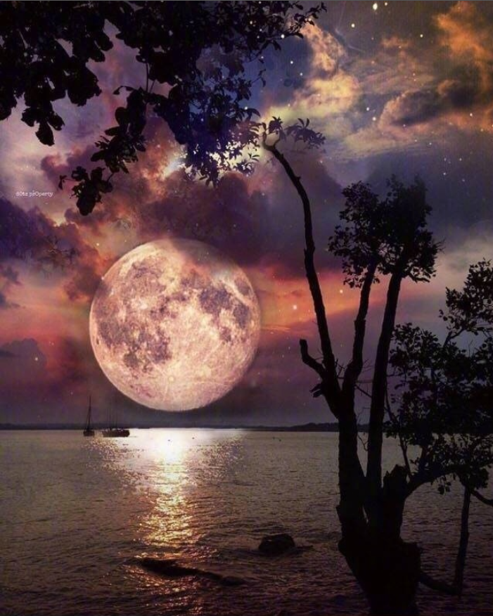 沙滩日落星辰风景图片这辈子一定要和心爱的t 2