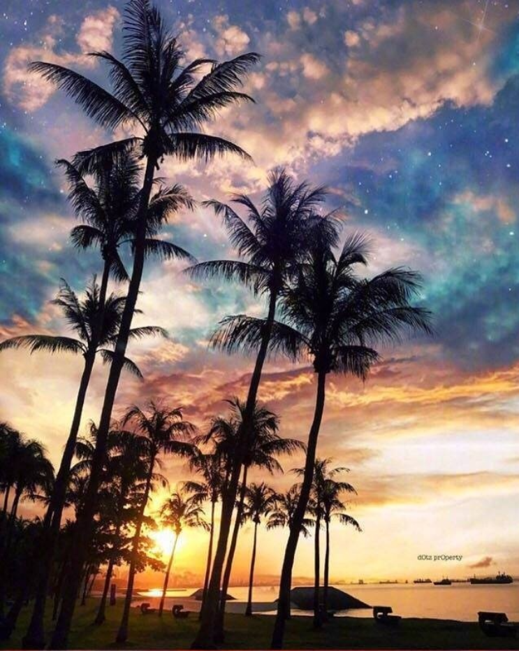 沙滩日落星辰风景图片这辈子一定要和心爱的t 10