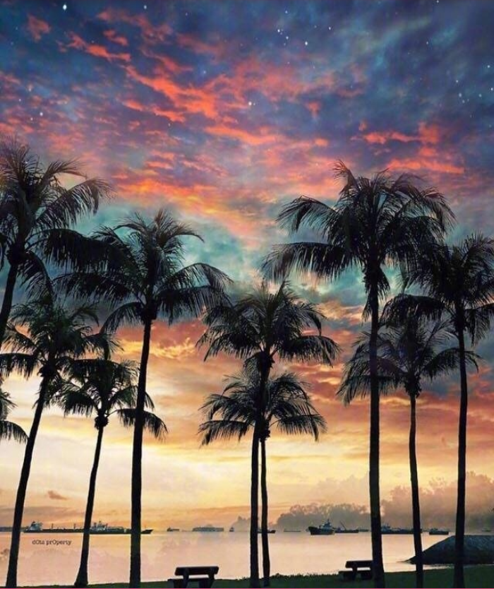 沙滩日落星辰风景图片这辈子一定要和心爱的t 17