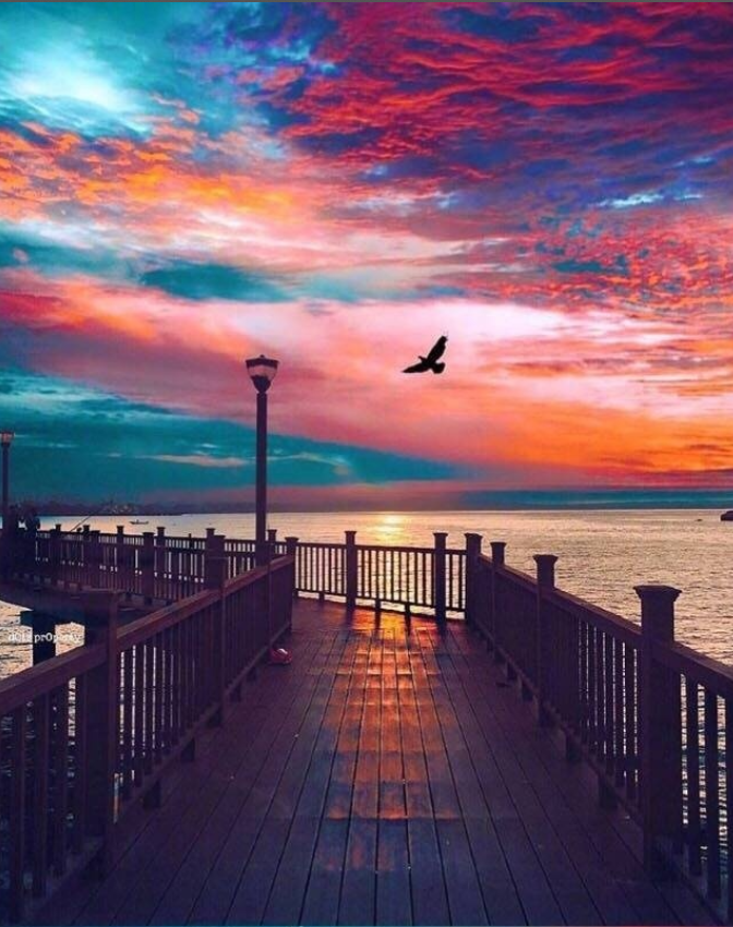 沙滩日落星辰风景图片这辈子一定要和心爱的t 18