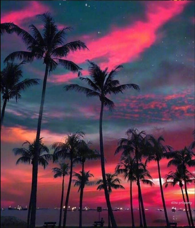 沙滩日落星辰风景图片这辈子一定要和心爱的t 23