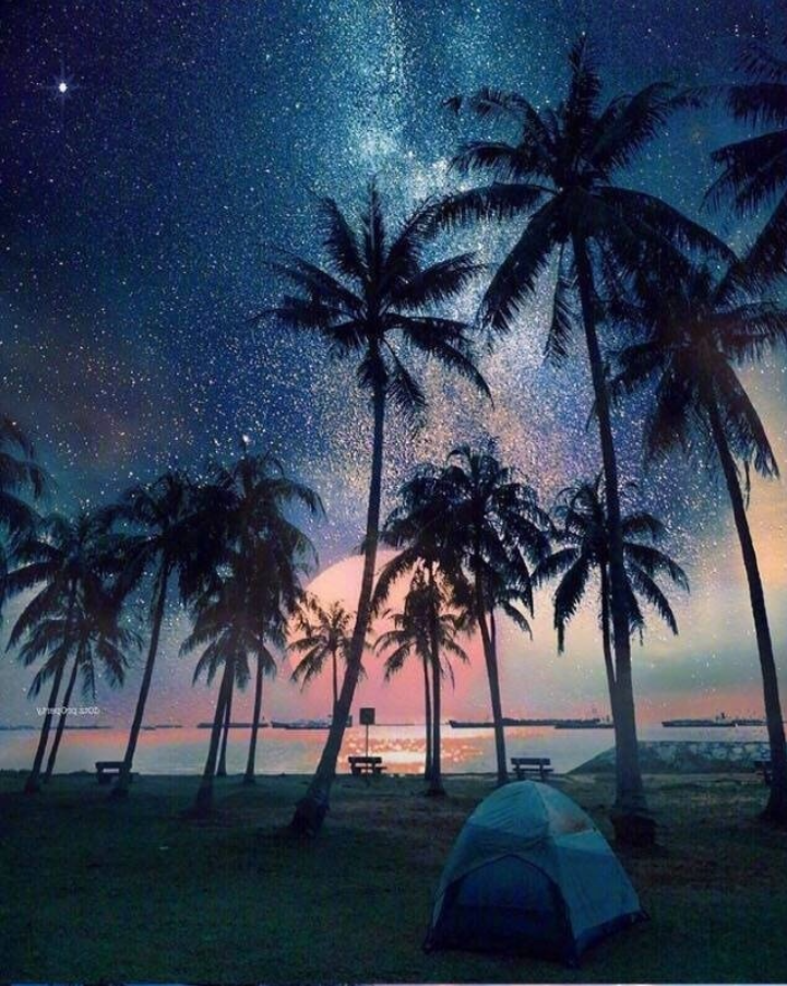 沙滩日落星辰风景图片这辈子一定要和心爱的t 24
