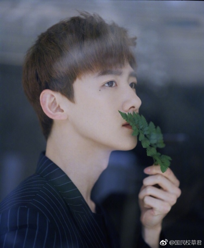 白净少年校草帅哥图片_随便拉一个当男朋友吧 9
