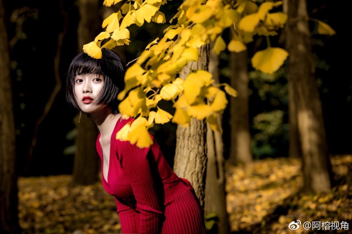 这是一个银杏树下秋天的童话故事美女图片 4
