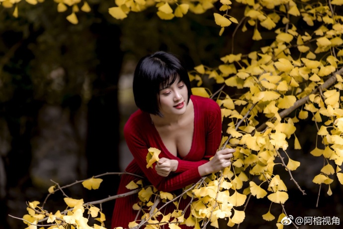 这是一个银杏树下秋天的童话故事美女图片 5