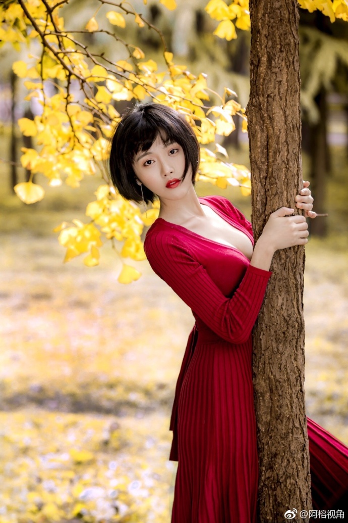 这是一个银杏树下秋天的童话故事美女图片 7