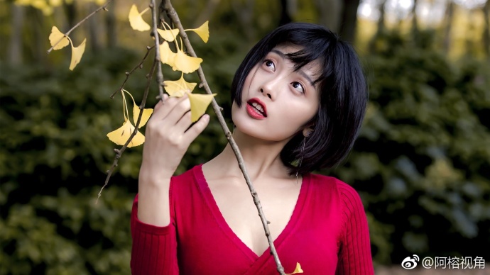 这是一个银杏树下秋天的童话故事美女图片 8