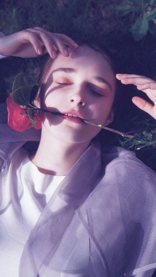 唯美热门高清壁纸图片wallpaper点赞遇桃花 4