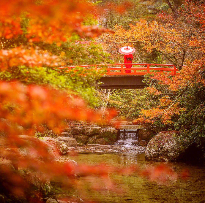日本京都醍醐寺的秋枫风景图片 4