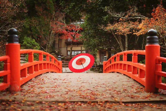 日本京都醍醐寺的秋枫风景图片 5