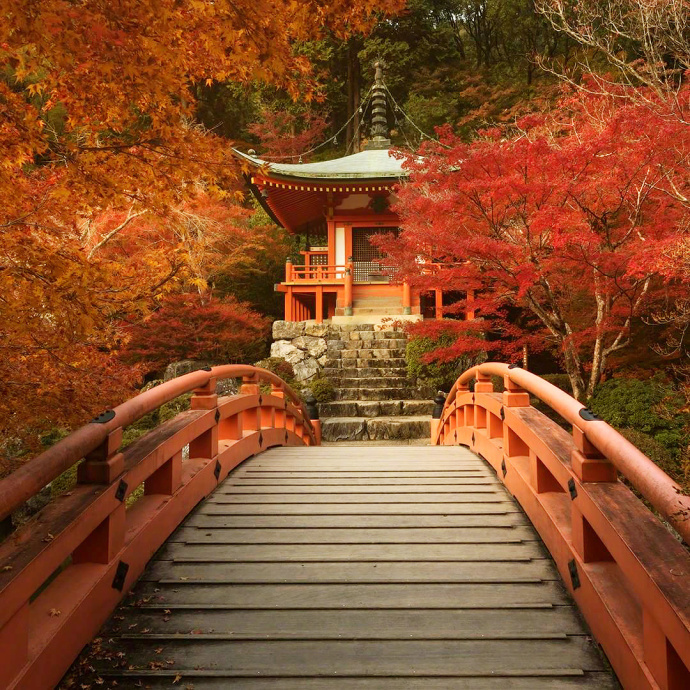 日本京都醍醐寺的秋枫风景图片 6