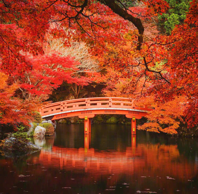 日本京都醍醐寺的秋枫风景图片 7