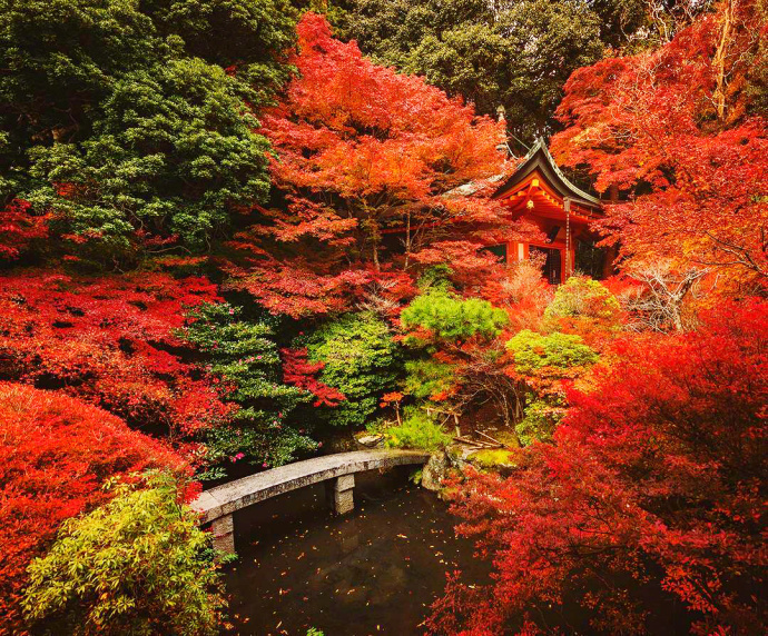 日本京都醍醐寺的秋枫风景图片 8
