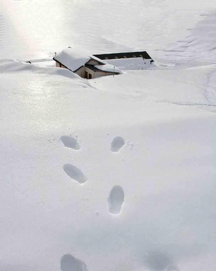 雪景图片_想去北欧看一场大雪风景图片 7