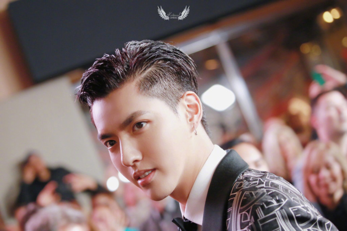 中国男明星帅哥小爷吴亦凡正装图片 6