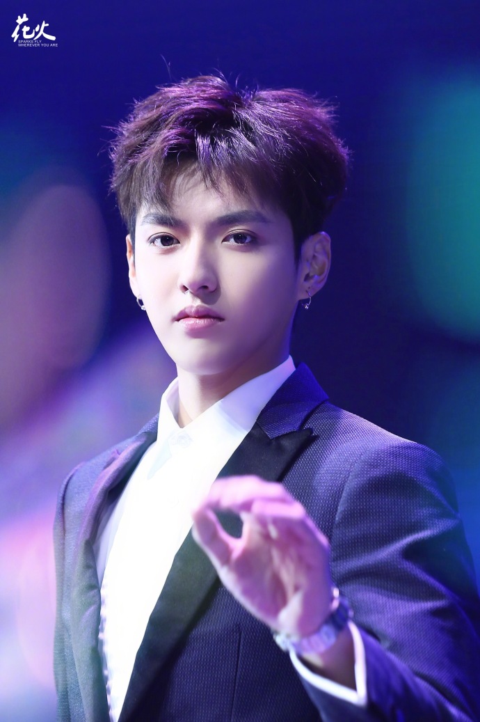中国男明星帅哥小爷吴亦凡正装图片 8