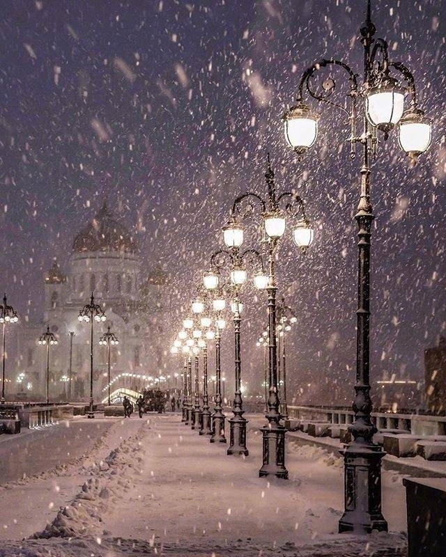 下雪了图片_雪景图片 2