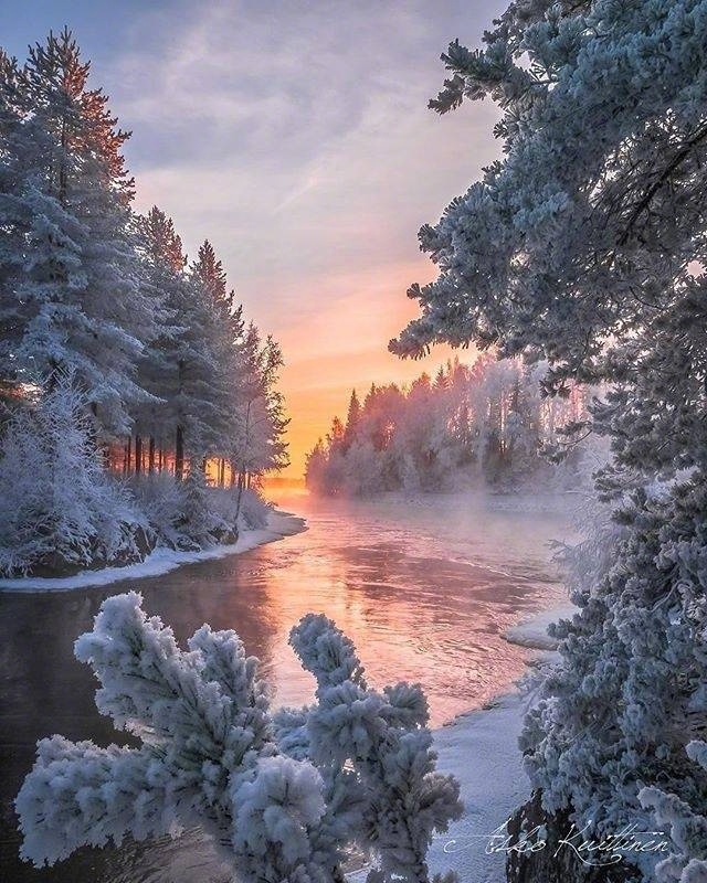 下雪了图片_雪景图片 3