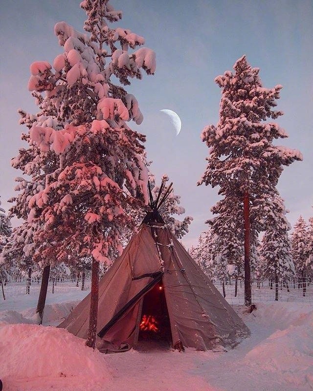 下雪了图片_雪景图片 5