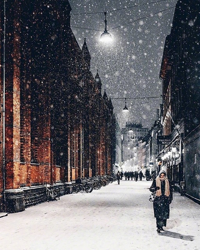下雪了图片_雪景图片 8