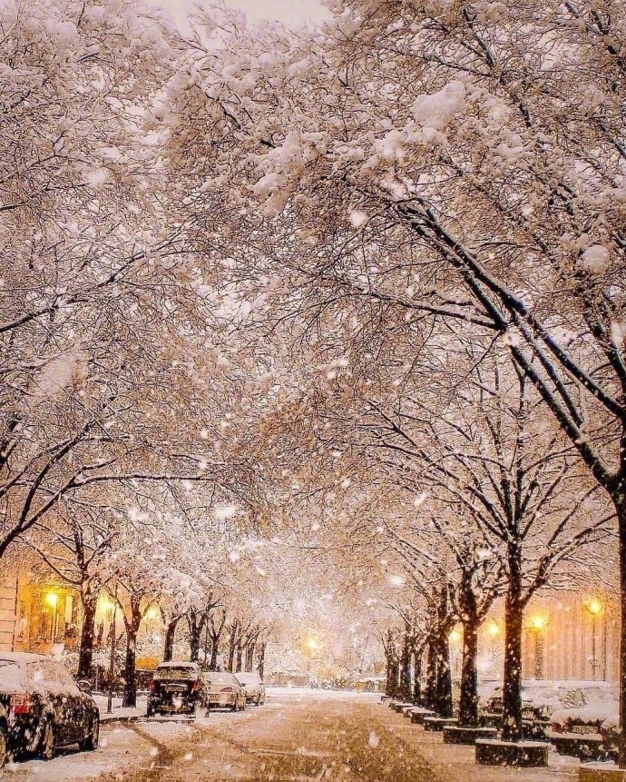 瑞士夜晚的雪景仿佛进入童话世界一样 8