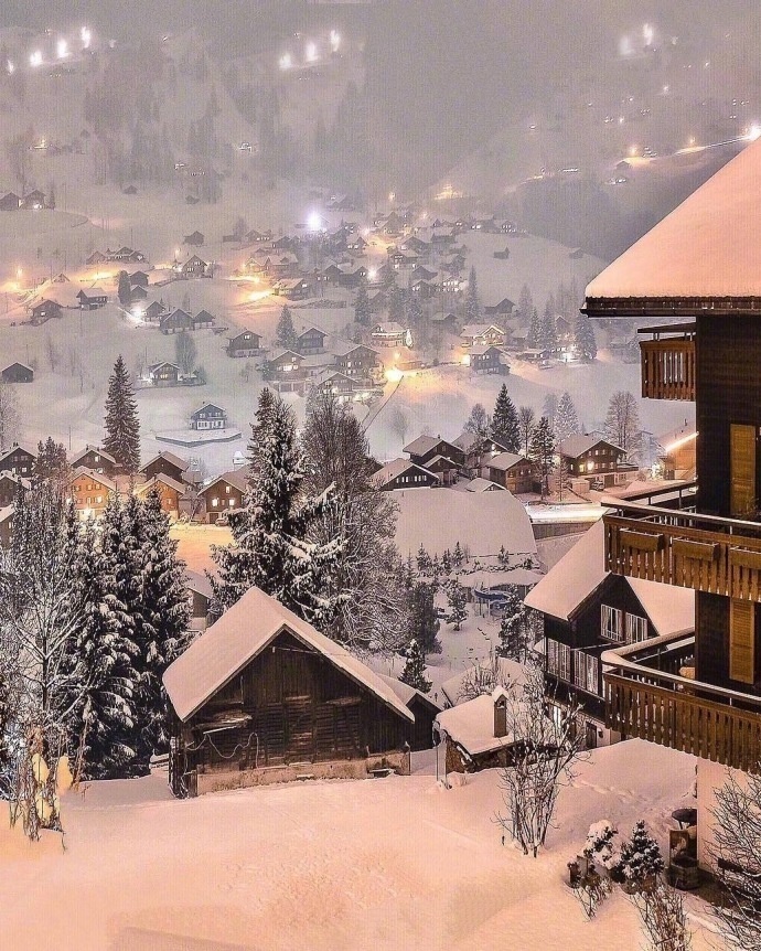 瑞士夜晚的雪景仿佛进入童话世界一样 9