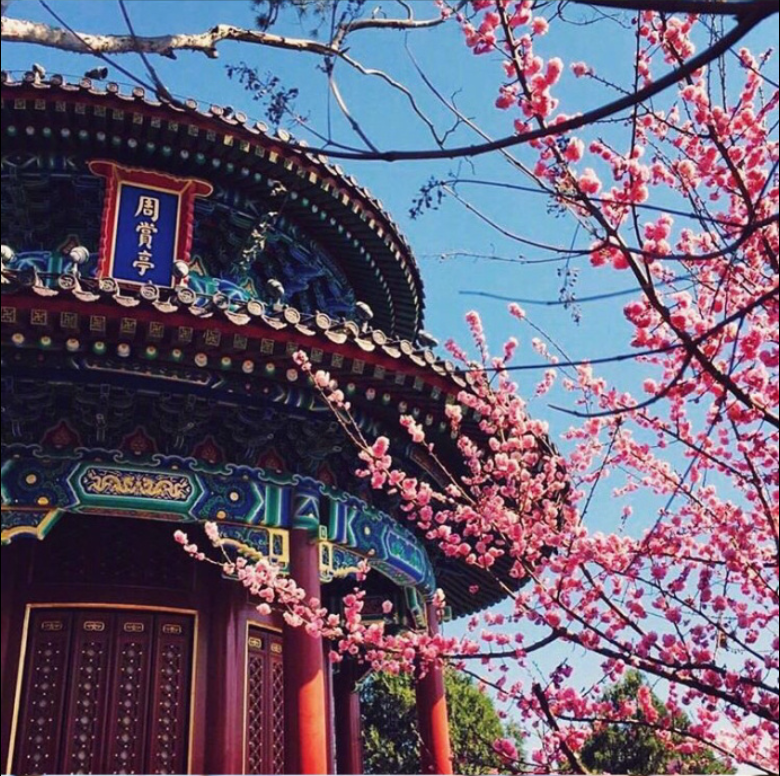 现在的北京历史的紫禁城风景图片