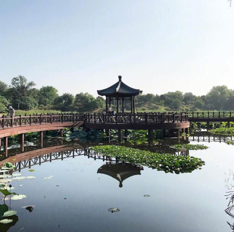 现在的北京历史的紫禁城风景图片 20