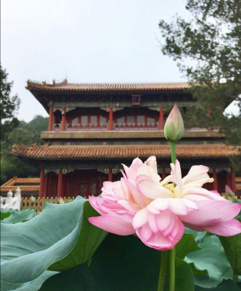 现在的北京历史的紫禁城风景图片 25