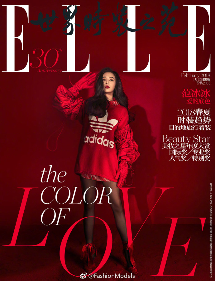 明星情侣范冰冰李晨携手登上ELLE China 2月刊封面 4