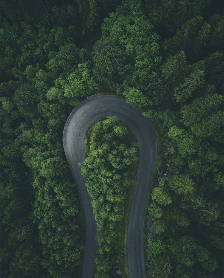 有一种绿在挪威风景图片 6