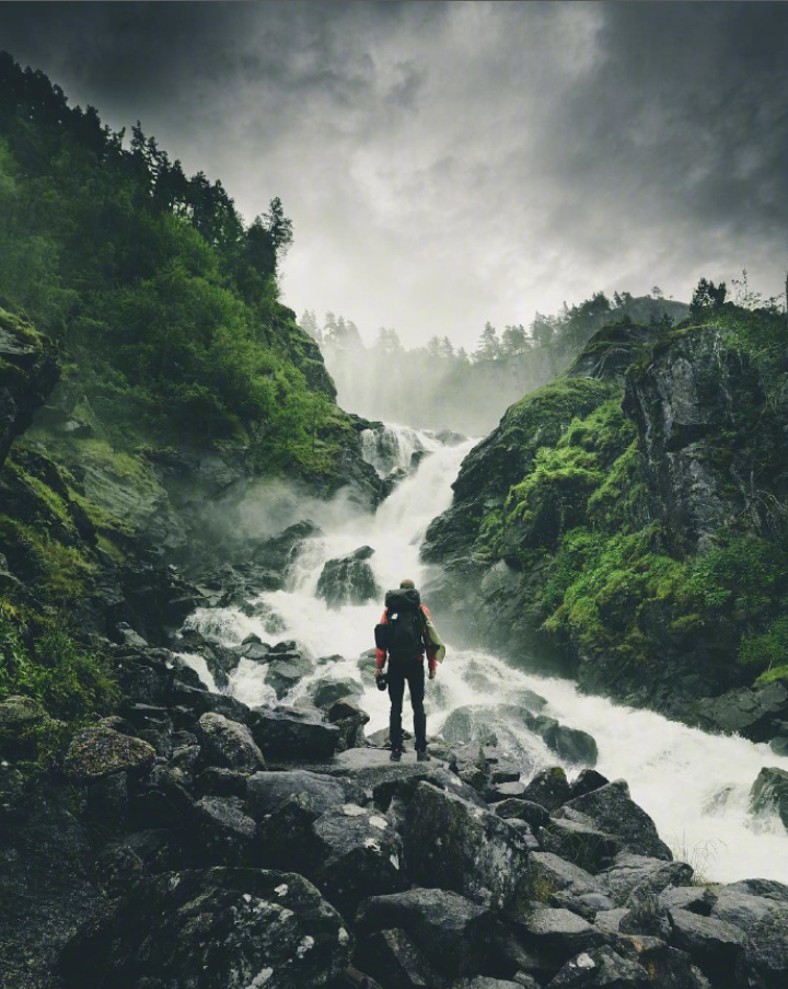 有一种绿在挪威风景图片 9