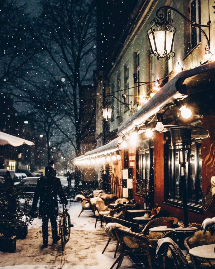 雪中的哥本哈根风景图片 6