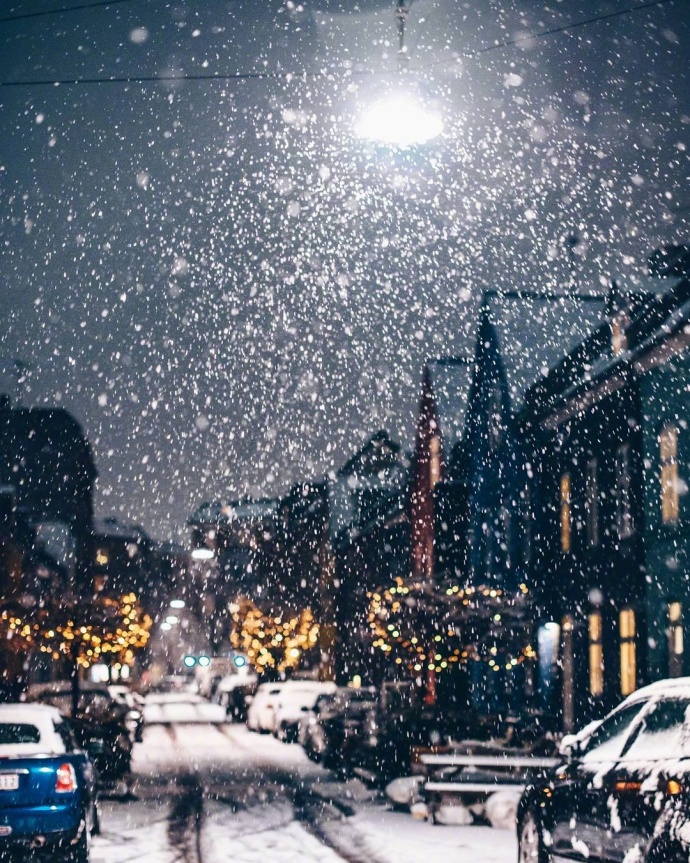 雪中的哥本哈根风景图片 8
