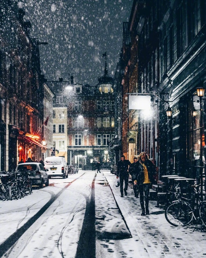 雪中的哥本哈根风景图片 9