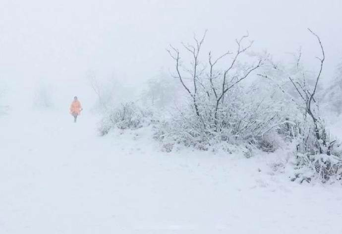 峨眉山风景图片_峨眉山雪中人独行,总是宁静中多 5