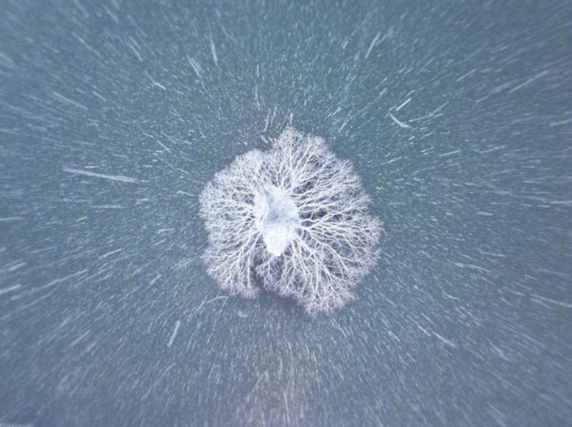摄影师naagaoshi拍摄的一组日本冬季的雪景有点浪