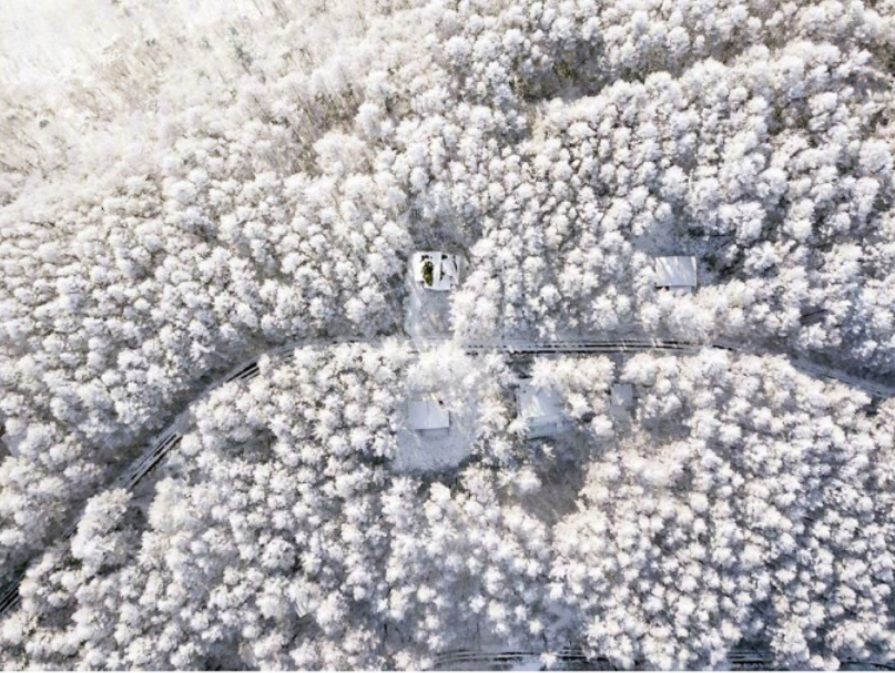 摄影师naagaoshi拍摄的一组日本冬季的雪景有点浪 2