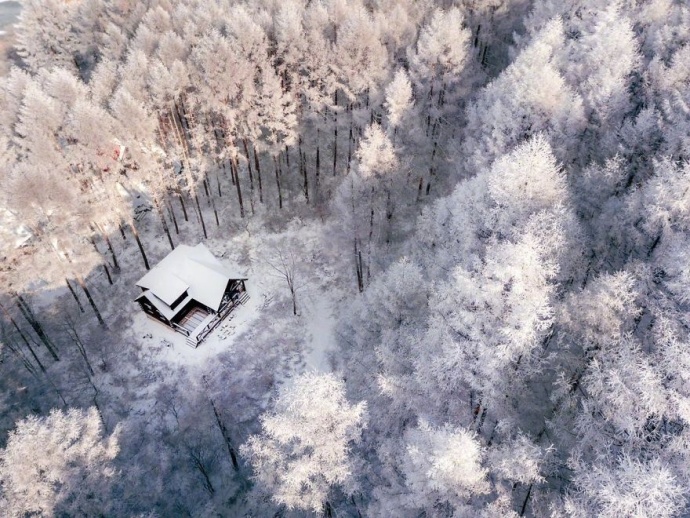 摄影师naagaoshi拍摄的一组日本冬季的雪景有点浪 4
