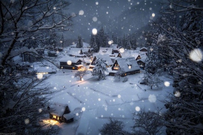 摄影师naagaoshi拍摄的一组日本冬季的雪景有点浪 5