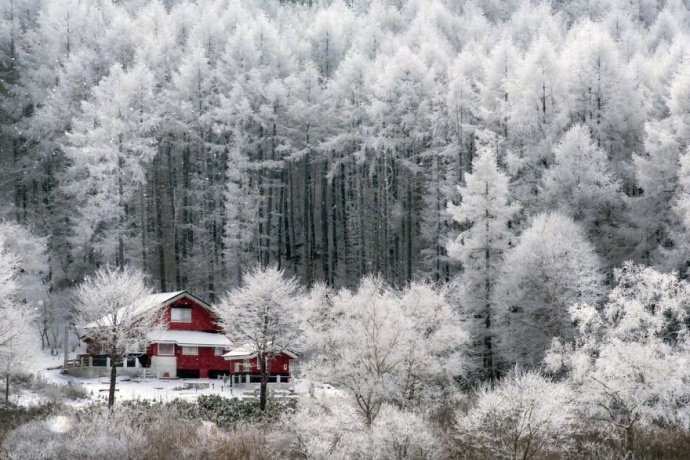 摄影师naagaoshi拍摄的一组日本冬季的雪景有点浪 8