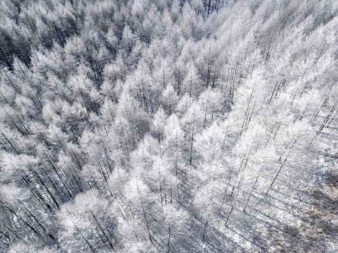 摄影师naagaoshi拍摄的一组日本冬季的雪景有点浪 11