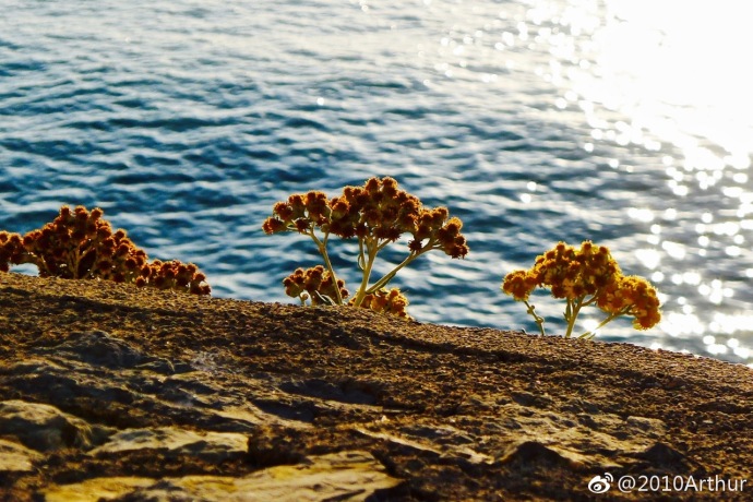 西班牙小镇Peniscola风景图片 5