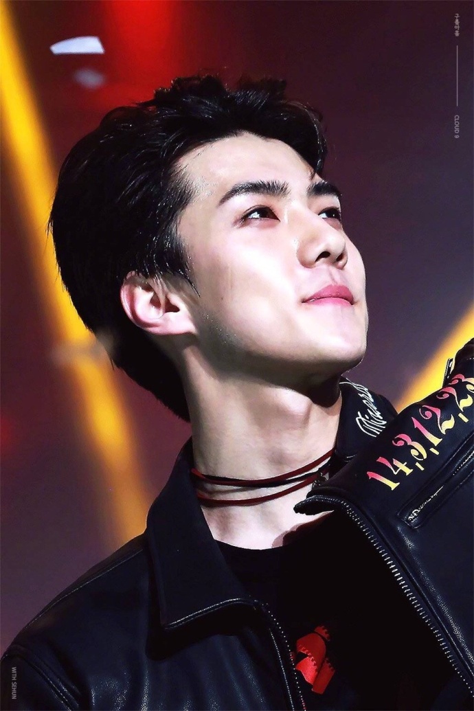 韩国男明星帅哥exo成员吴世勋帅气图片 5