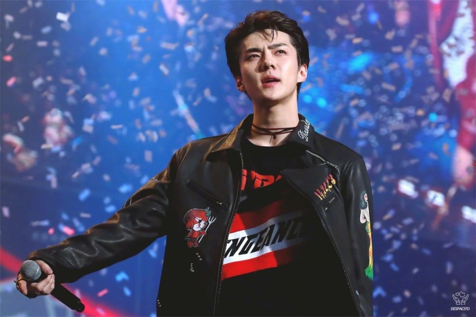 韩国男明星帅哥exo成员吴世勋帅气图片 8