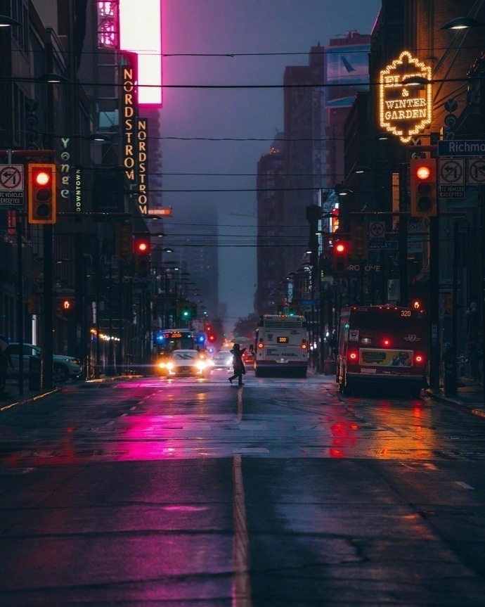 雨后的多伦多风景图片繁华落尽的孤单 2