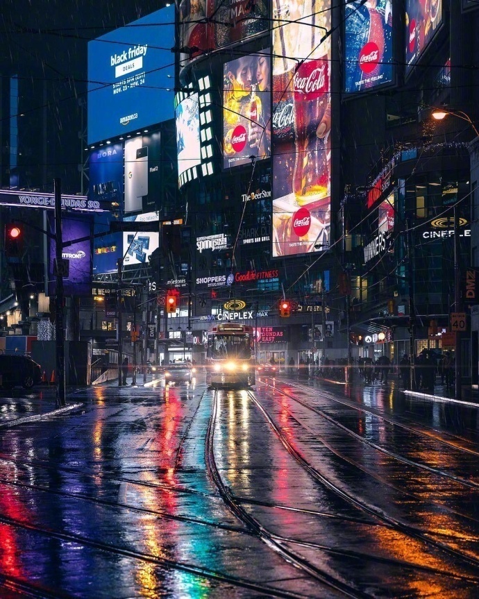 雨后的多伦多风景图片繁华落尽的孤单 7